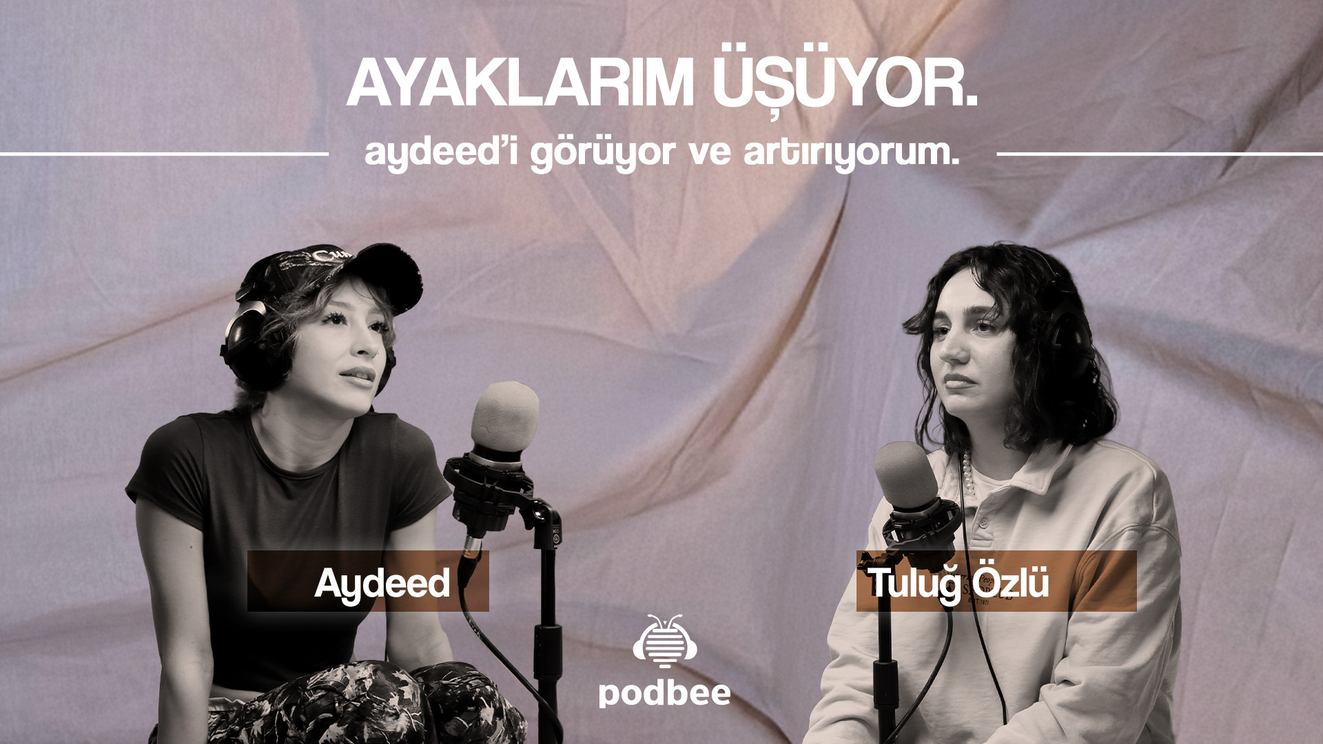 aydeed’i görüyor ve artırıyorum.